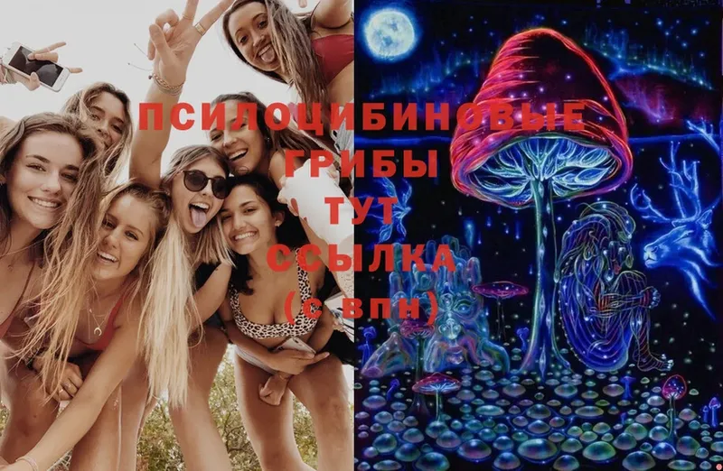 Псилоцибиновые грибы Magic Shrooms  Чёрмоз 